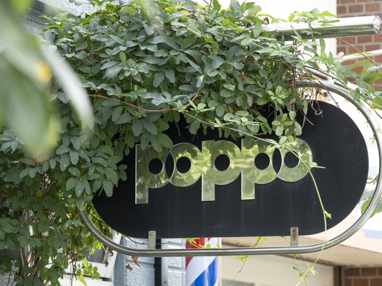 BarBer poppo