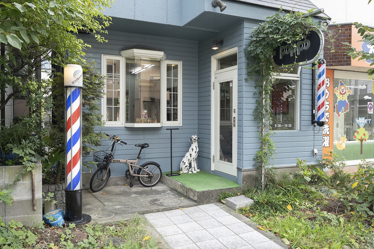 BarBer poppo